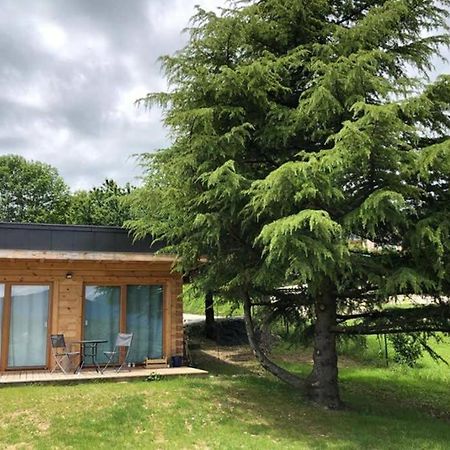 Studio-Mazot de charme 26 m2 Parc Chartreuse Vimines Esterno foto