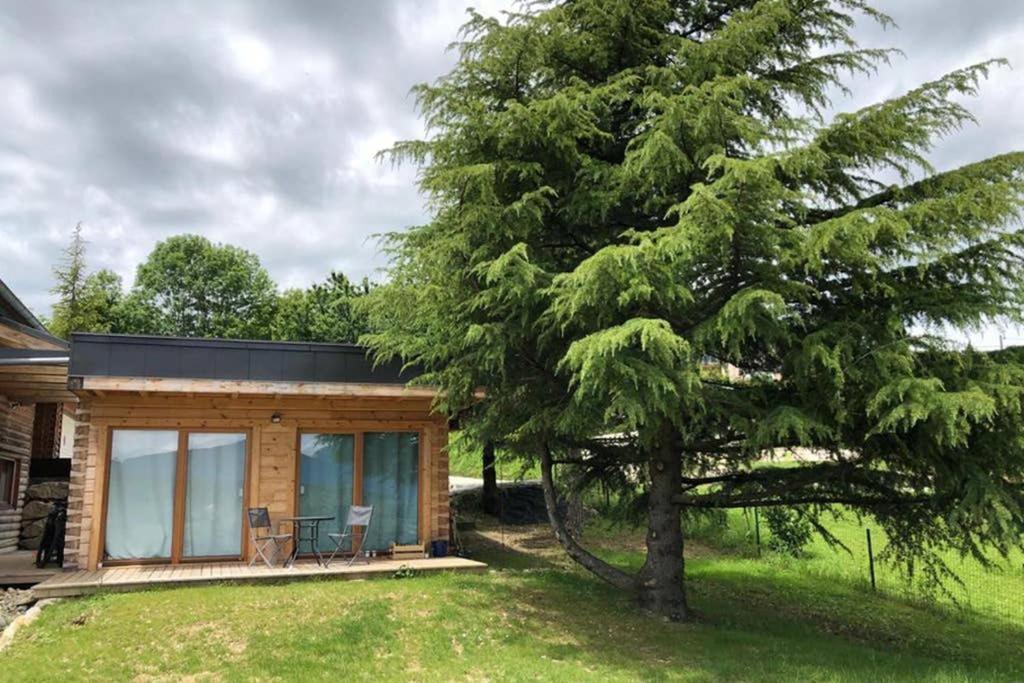 Studio-Mazot de charme 26 m2 Parc Chartreuse Vimines Esterno foto